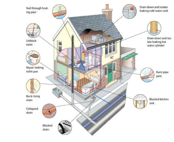 Infographics